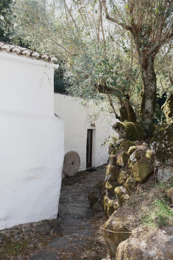 Serra Vida - A Place Of Presence Santo Antonio das Areias Екстер'єр фото