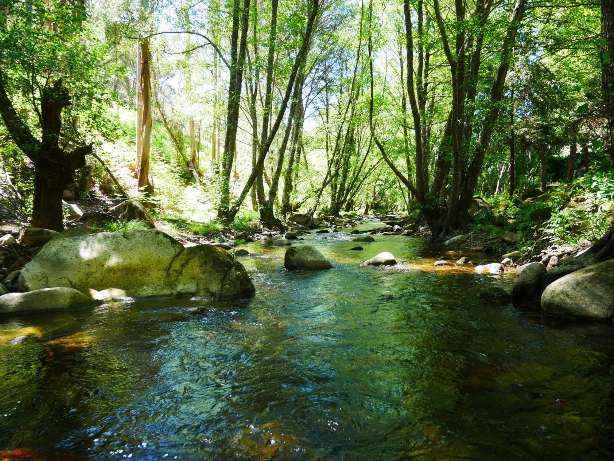 Serra Vida - A Place Of Presence Santo Antonio das Areias Екстер'єр фото